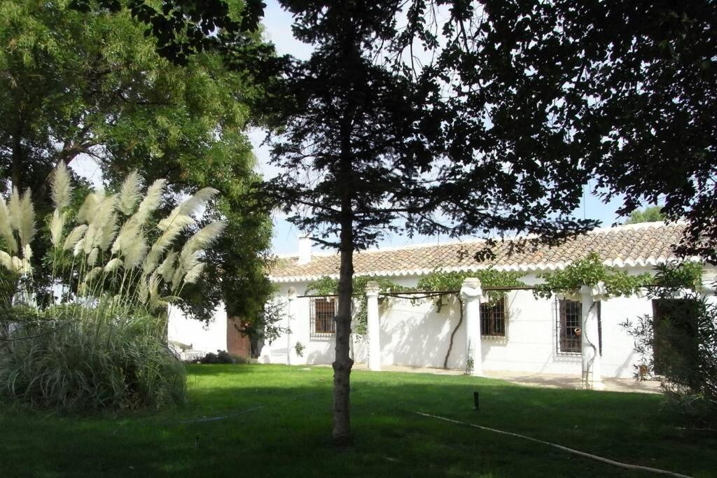 Casa El Carmen Villa Ciudad Real Eksteriør billede