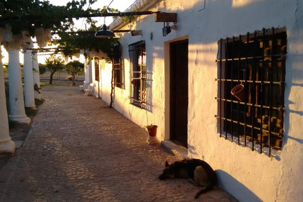 Casa El Carmen Villa Ciudad Real Eksteriør billede