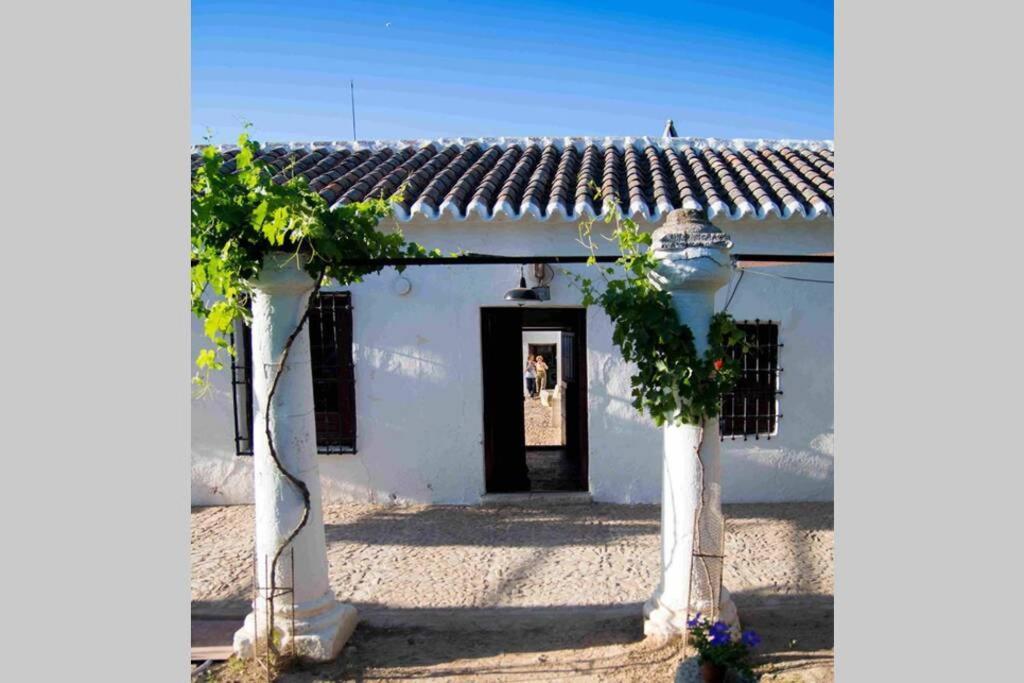 Casa El Carmen Villa Ciudad Real Eksteriør billede