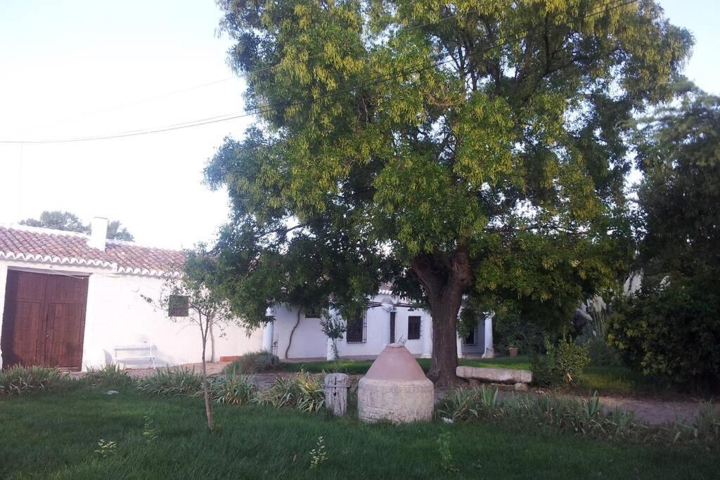 Casa El Carmen Villa Ciudad Real Eksteriør billede